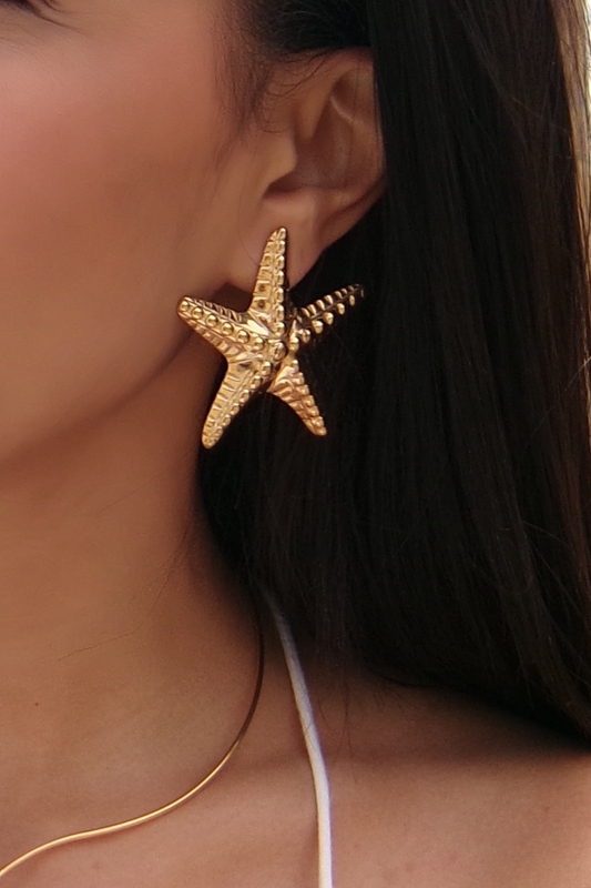 Boucle Fidji